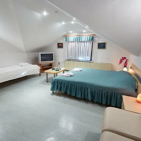 Apartma Steles Apartment *