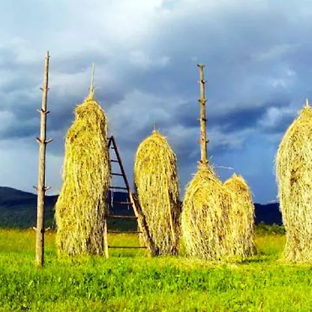 Apartma Steles *